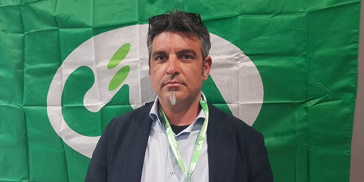 Arance di Puglia, premiate dalla ricerca ma non dal mercato